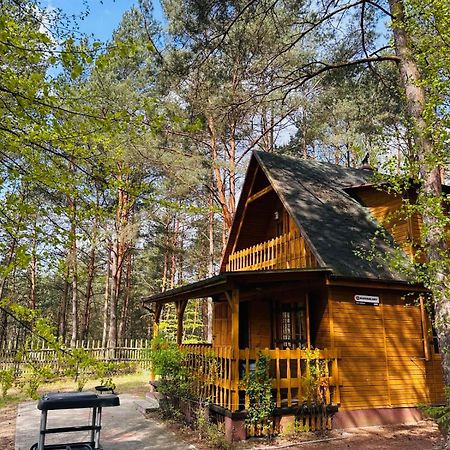 Villa Lesniczowka Rzadza Exterior foto